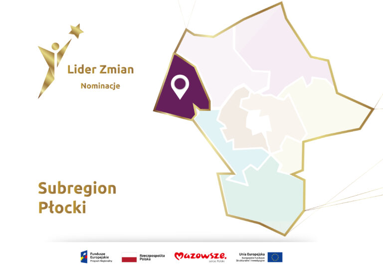 Subregion Płocki